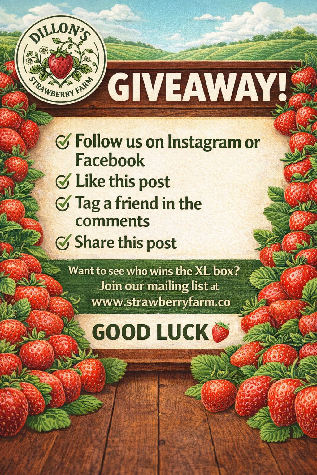 Dillon's Strawberry Farm giveaway poster