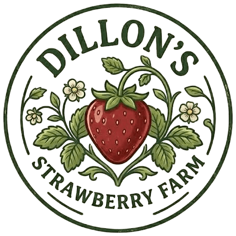 Dillon's Strawberry Farm logo — return to homepage